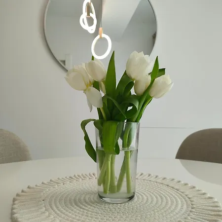 公寓 Aviatorii Oxford - 2 康斯坦察