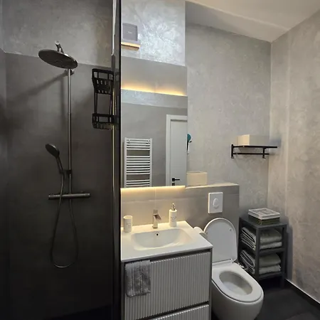 公寓 Aviatorii Oxford - 2 康斯坦察